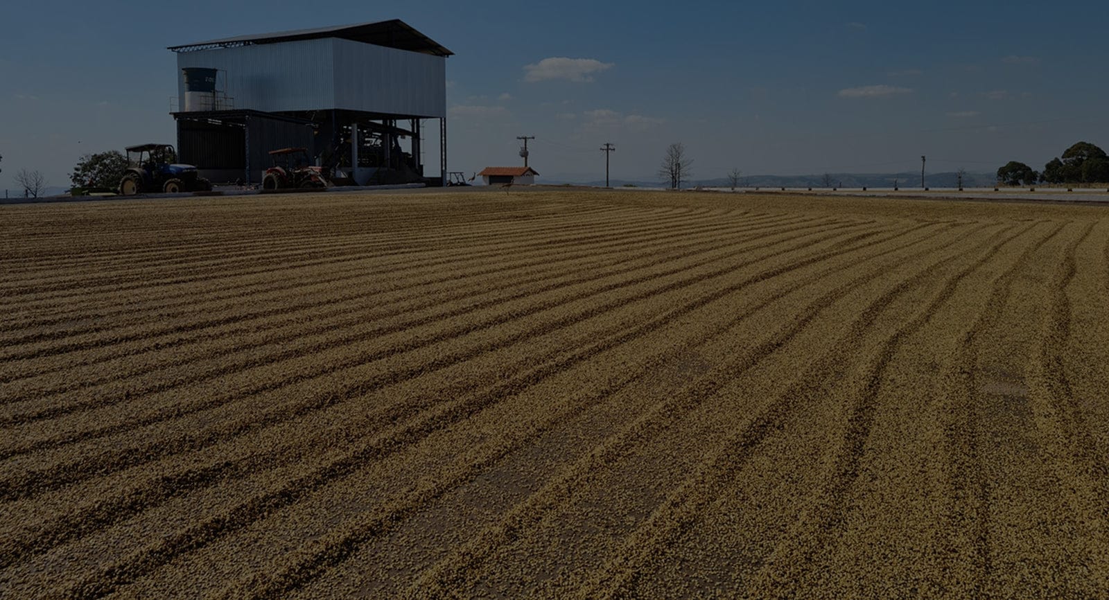 Messenger Coffee Co. + Ibis Bakery photo 3