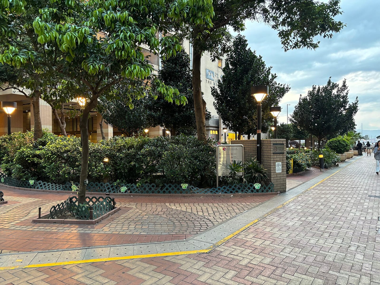 % Arabica photo 5