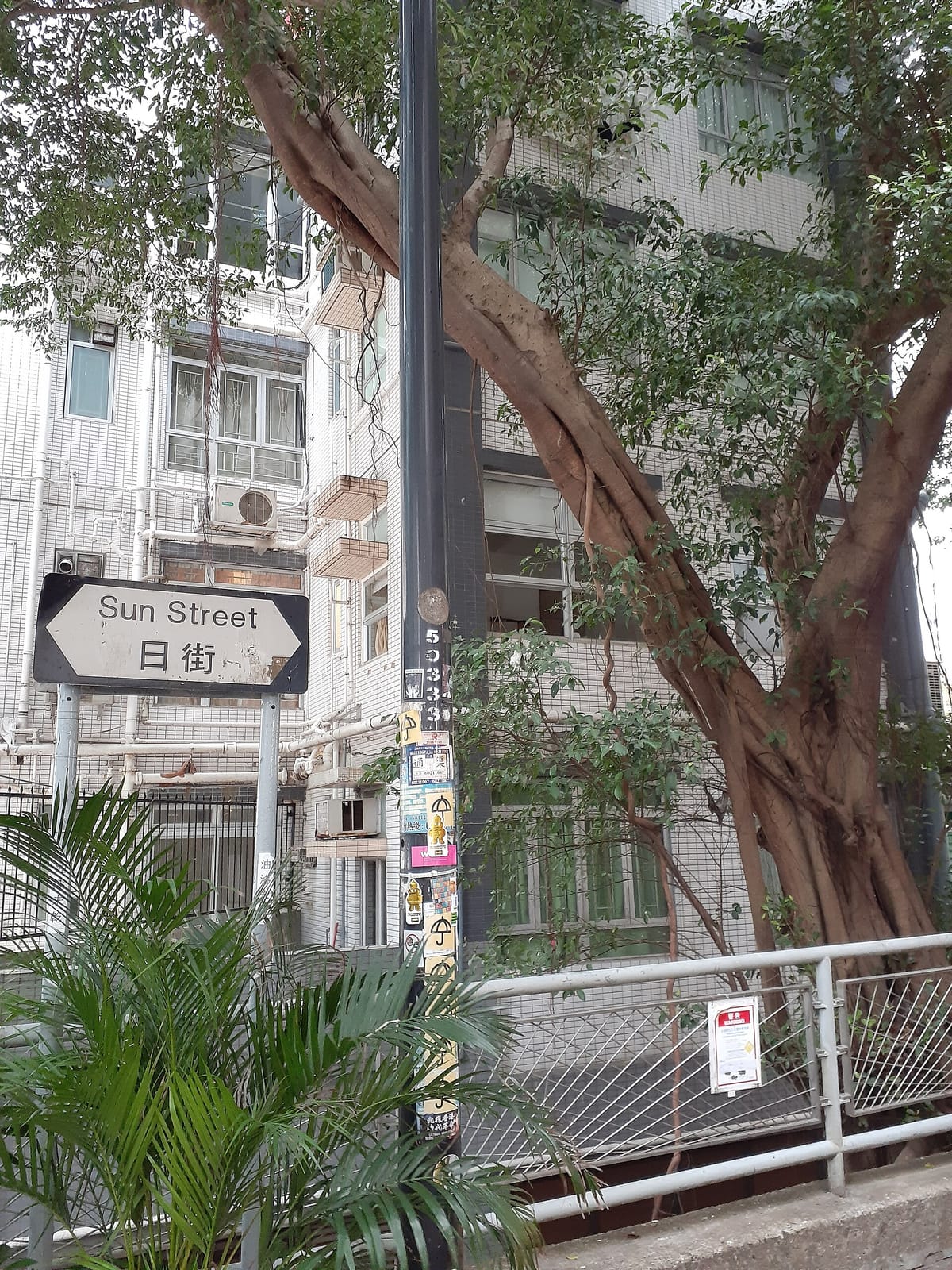 Elephant Grounds photo 3