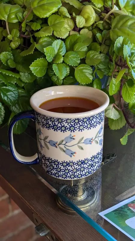 Main Street Coffee House photo 6