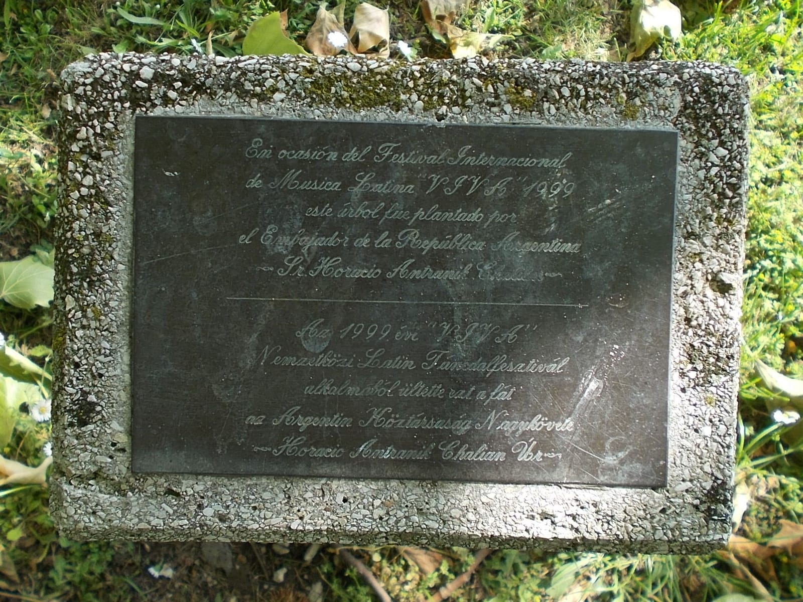 Béke photo 2