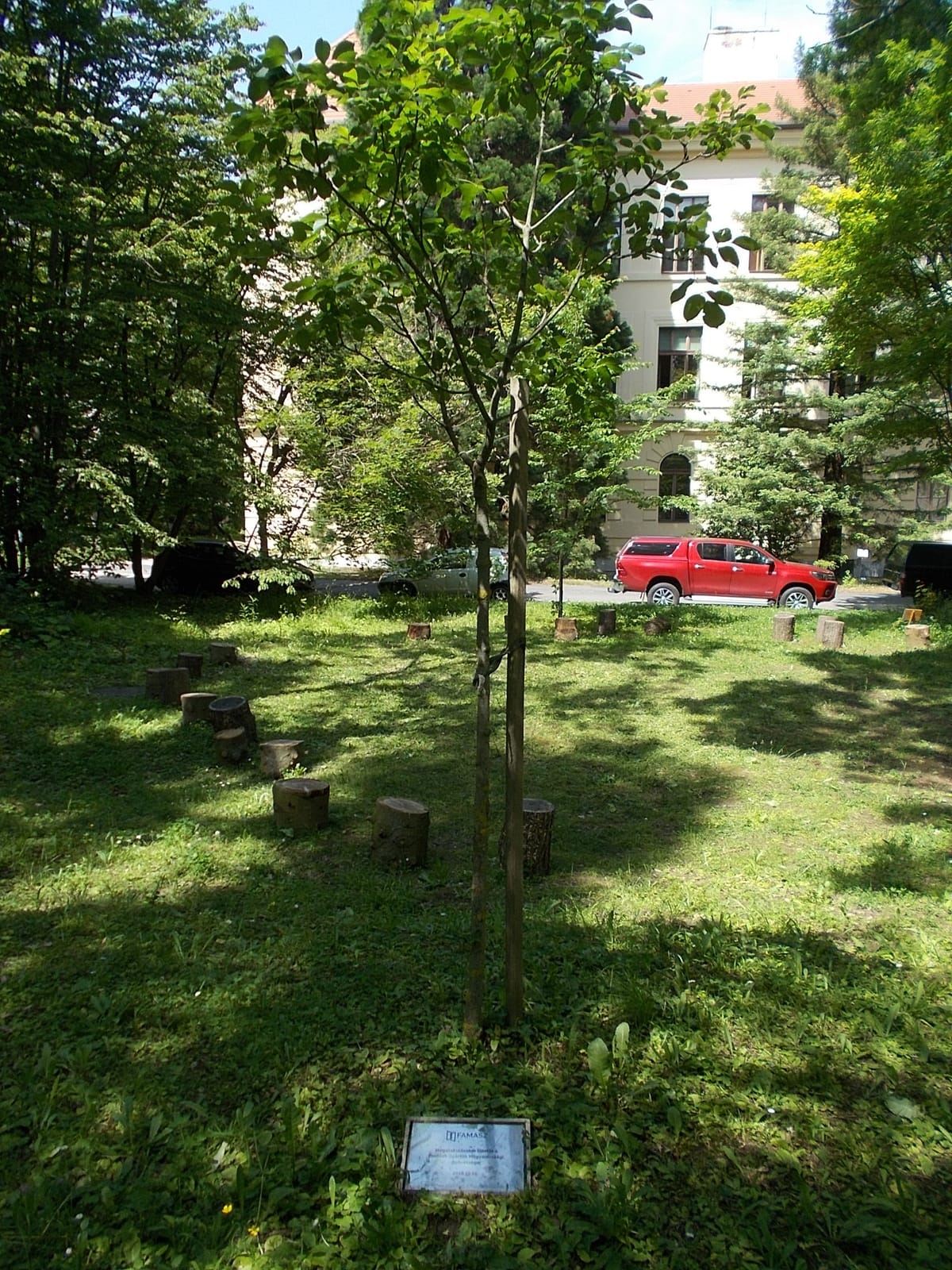 Botanik kávézó photo 3