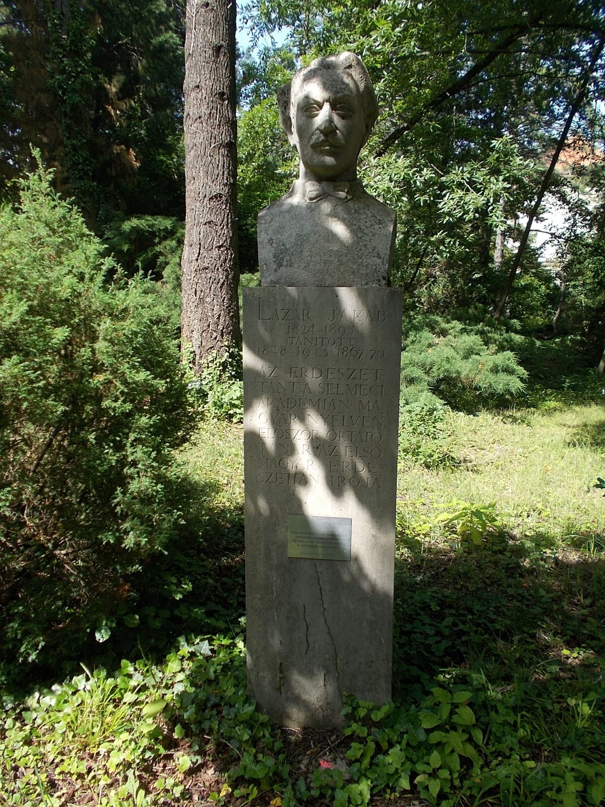 Botanik kávézó