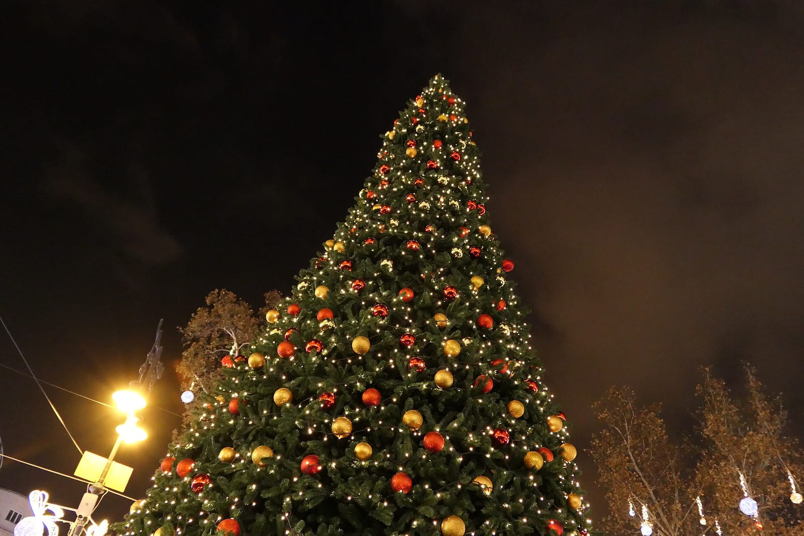 Café de Paris photo 3