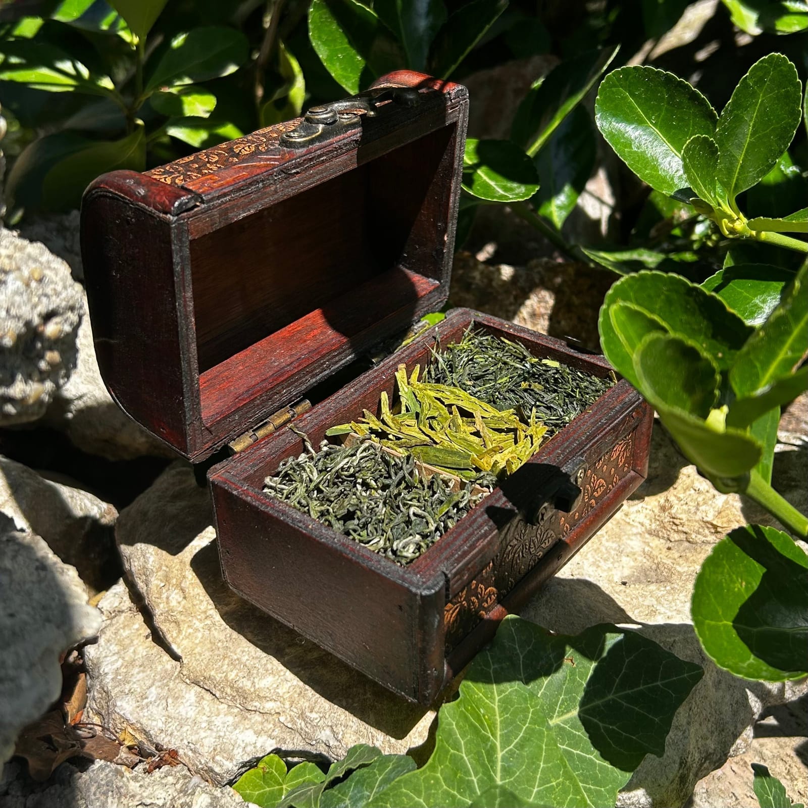 1000 Tea photo 2