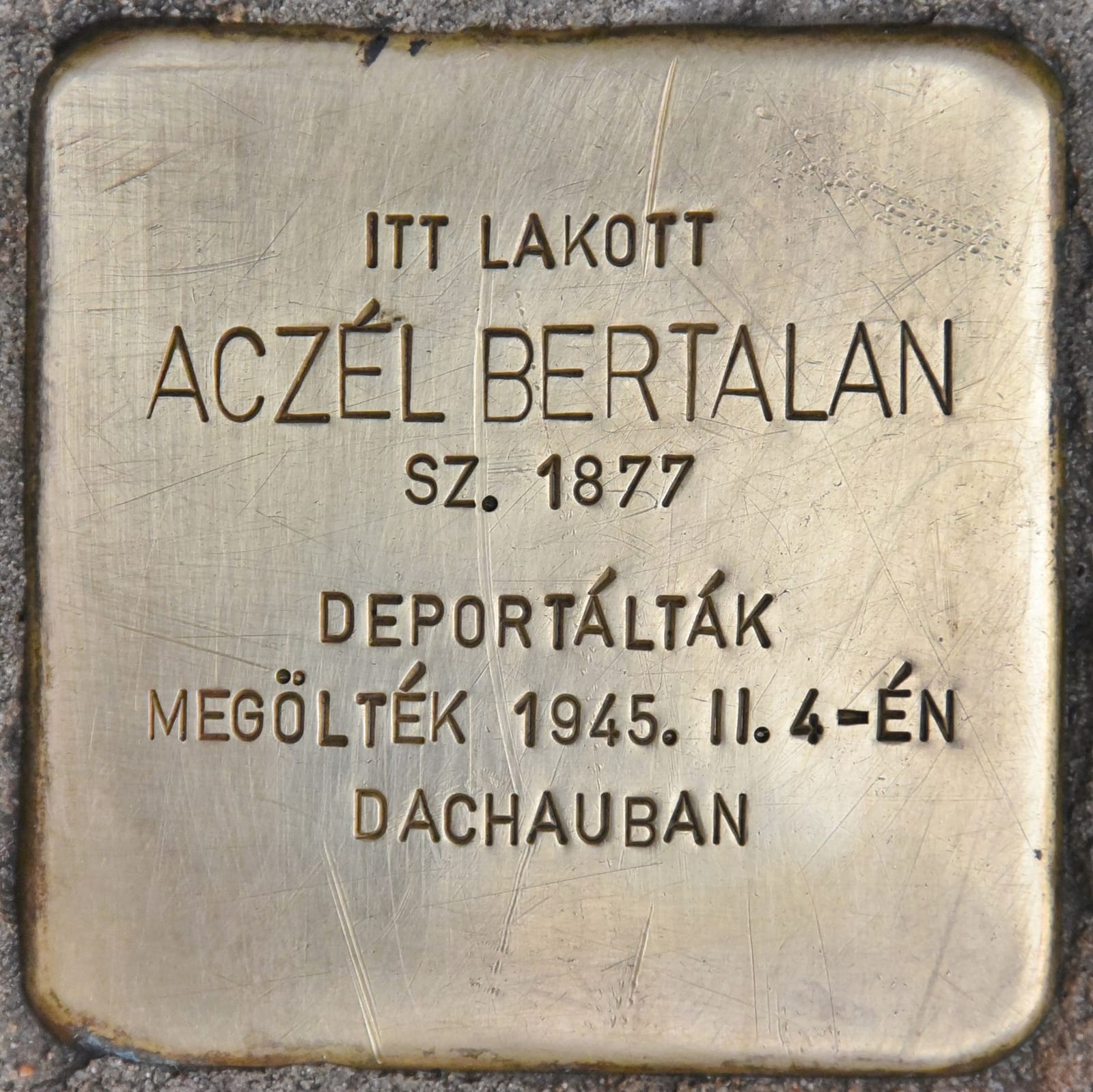 Játsz/Ma Társasjáték Kávézó