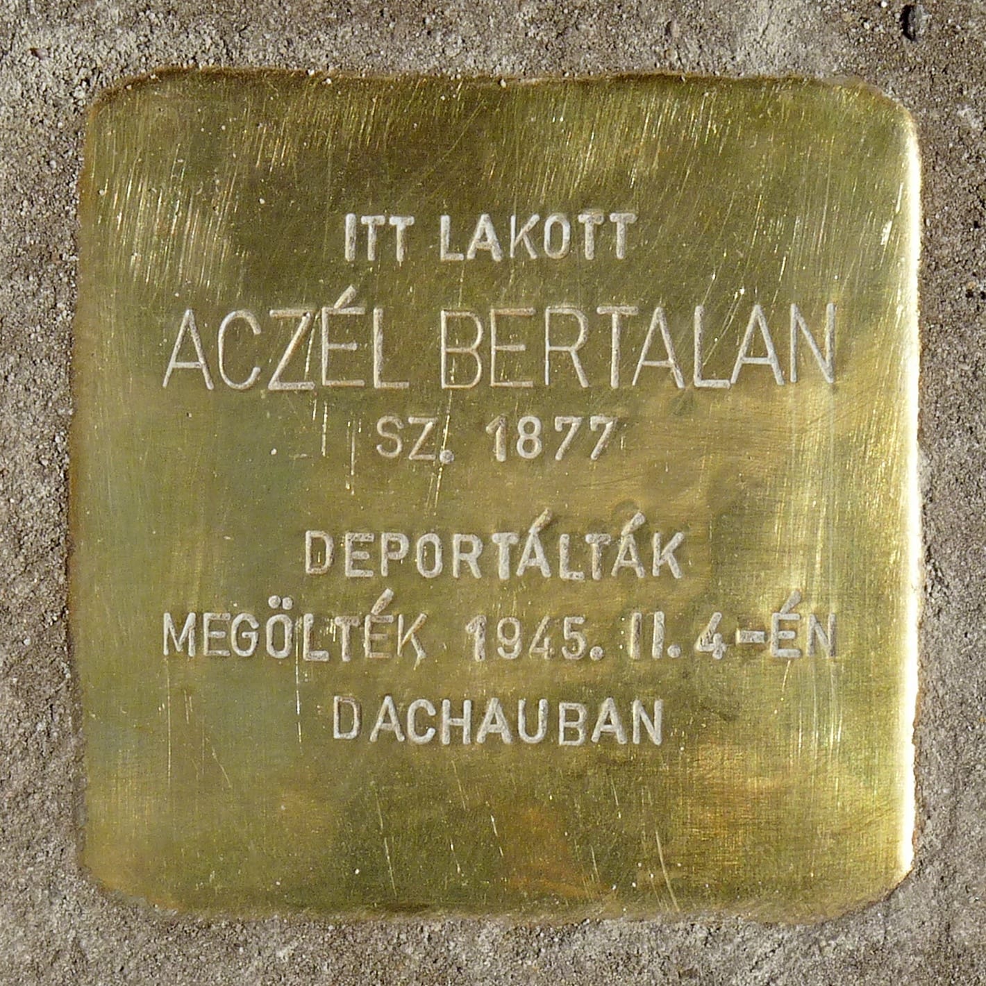 Játsz/Ma Társasjáték Kávézó photo 2