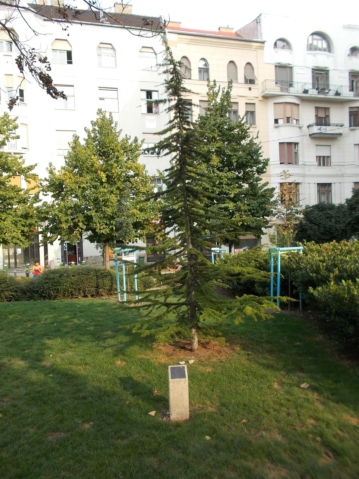 Kelet Kávézó és Galéria photo 5