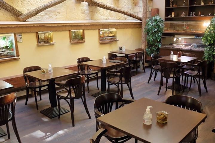 Zoo Café photo 3
