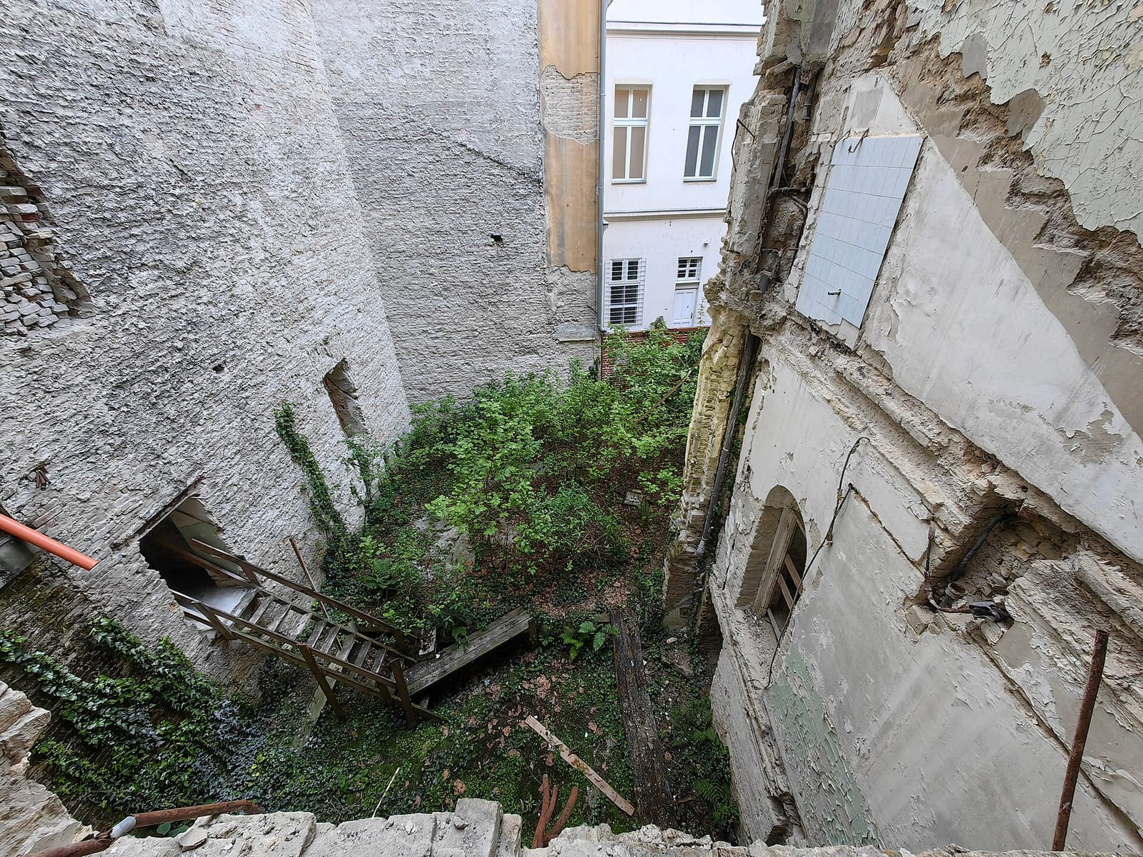 Matinée kávézó photo 4