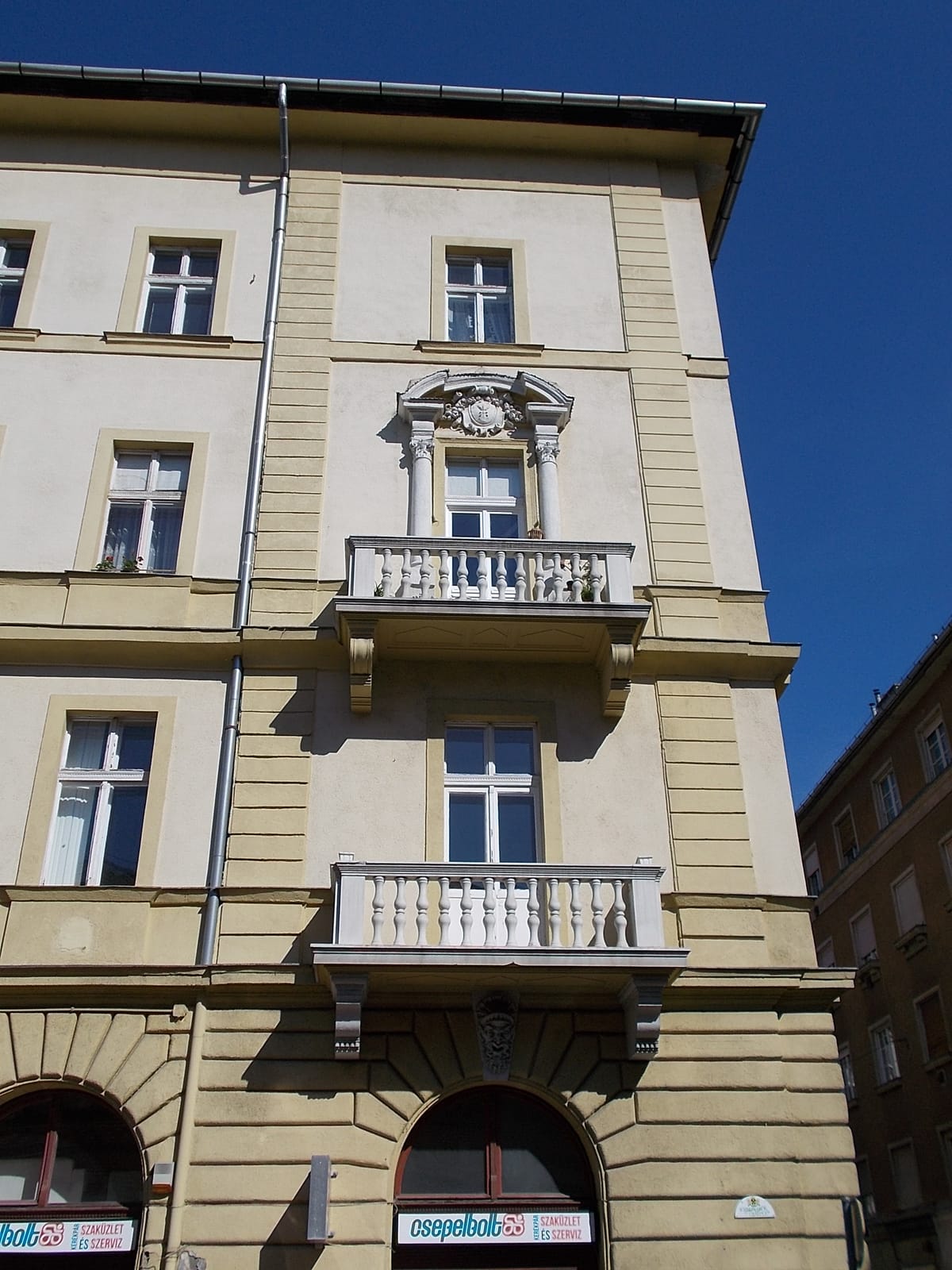 Macska photo 2