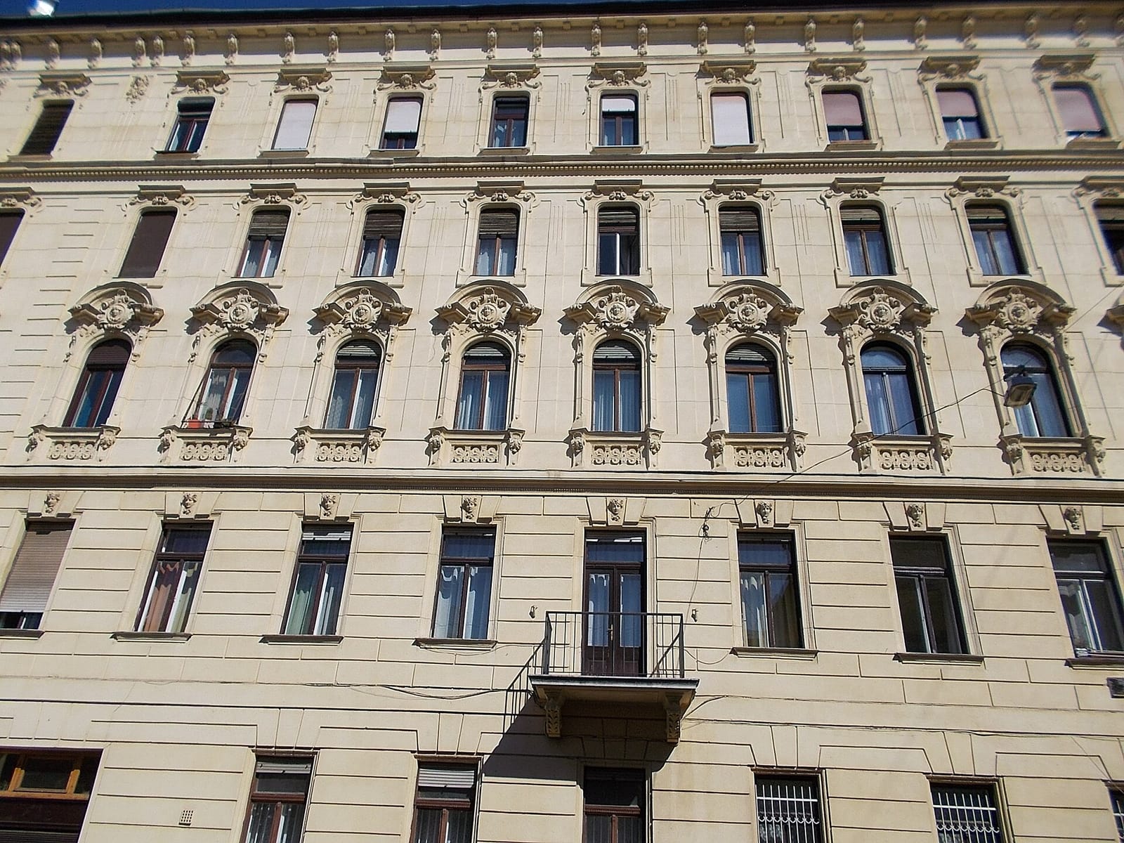 Macska photo 3
