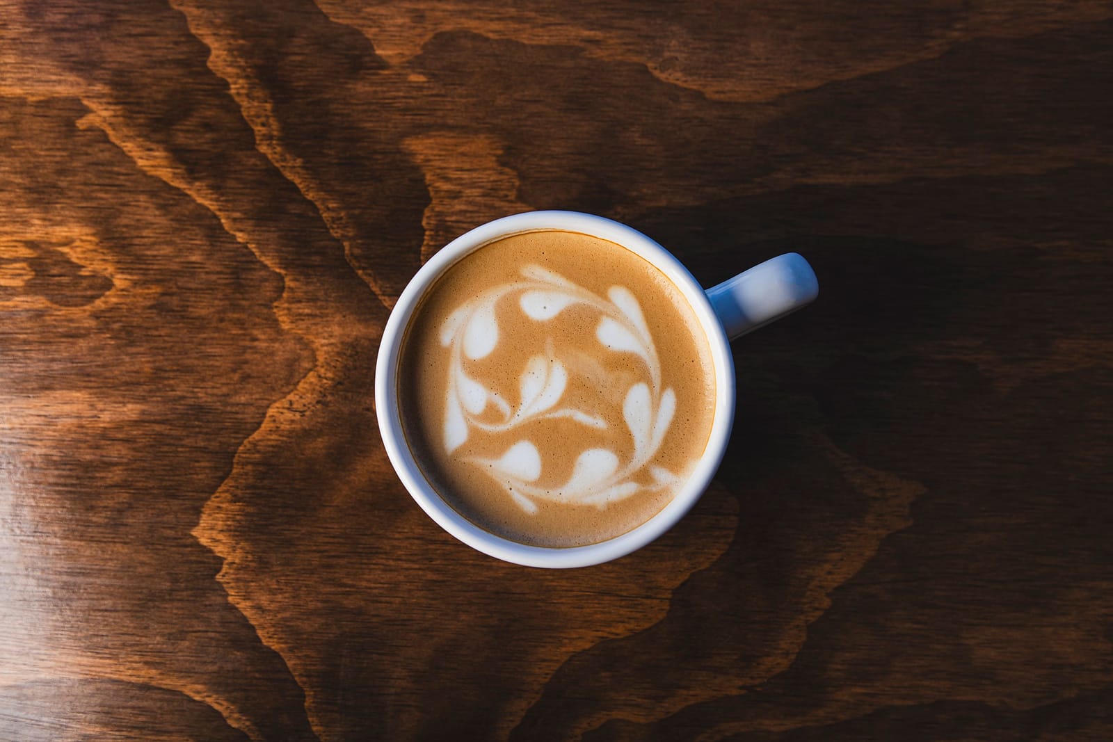 Crema Coffeehouse photo 6