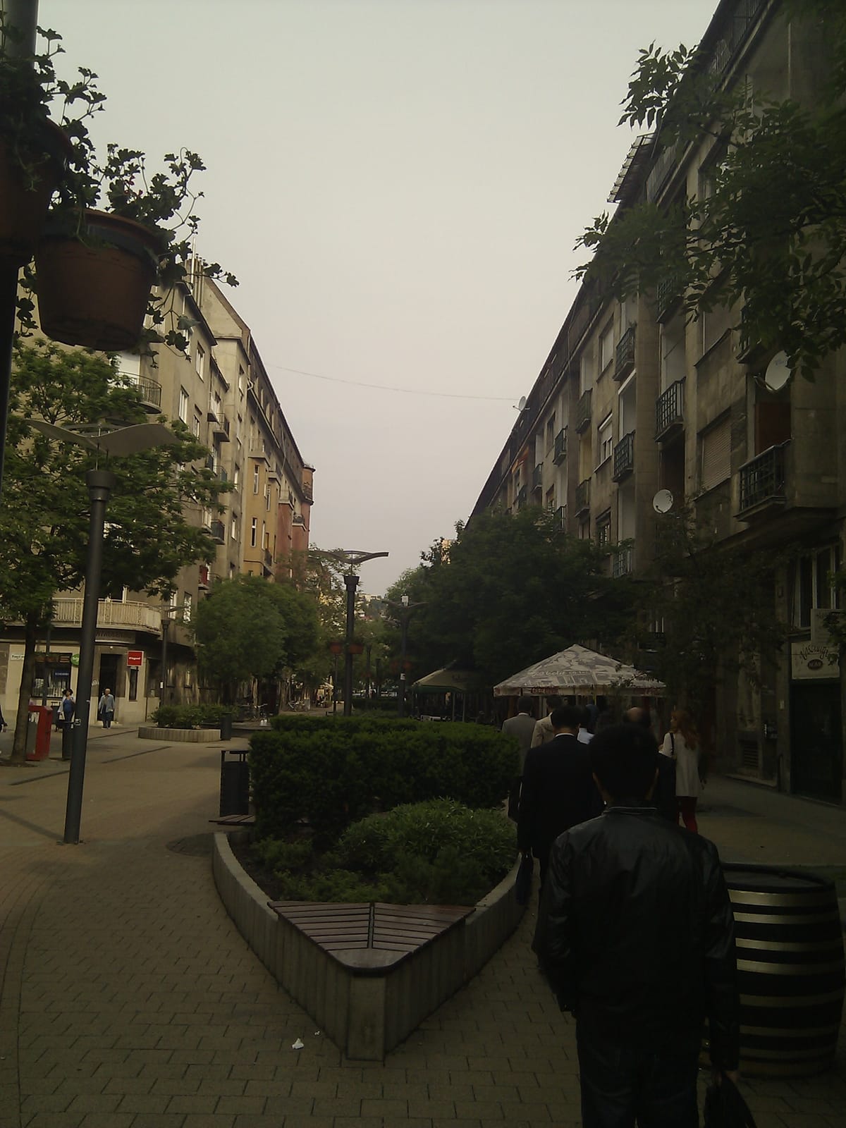 Kaffeine photo 4