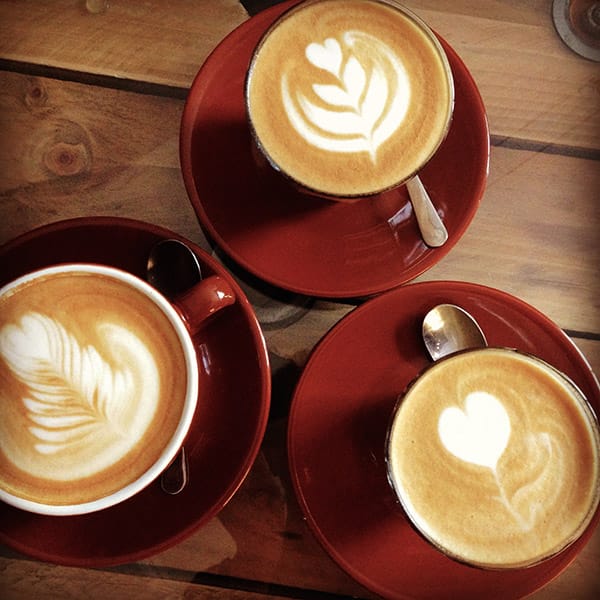 The Goat Herder - Espresso Bar photo 5