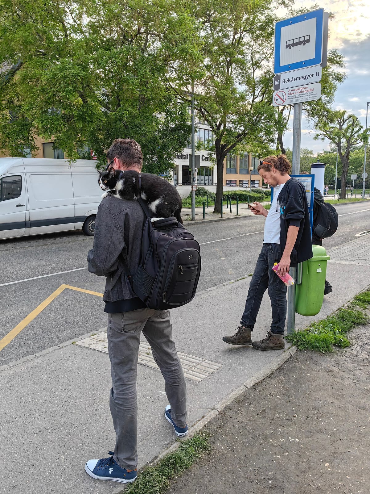 Édes Szelet photo 2