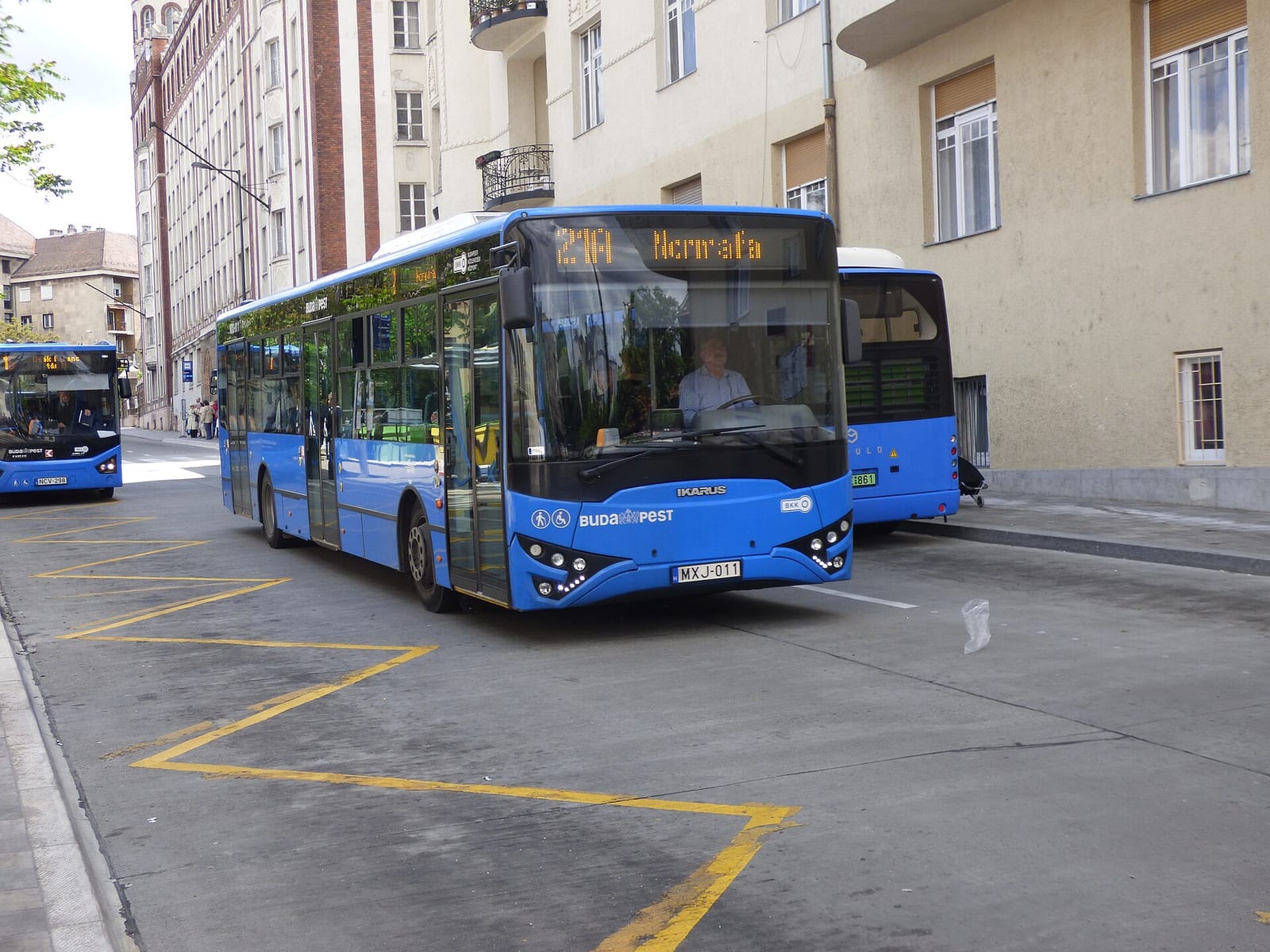 Mókusch kávézó és tortaműhely photo 3