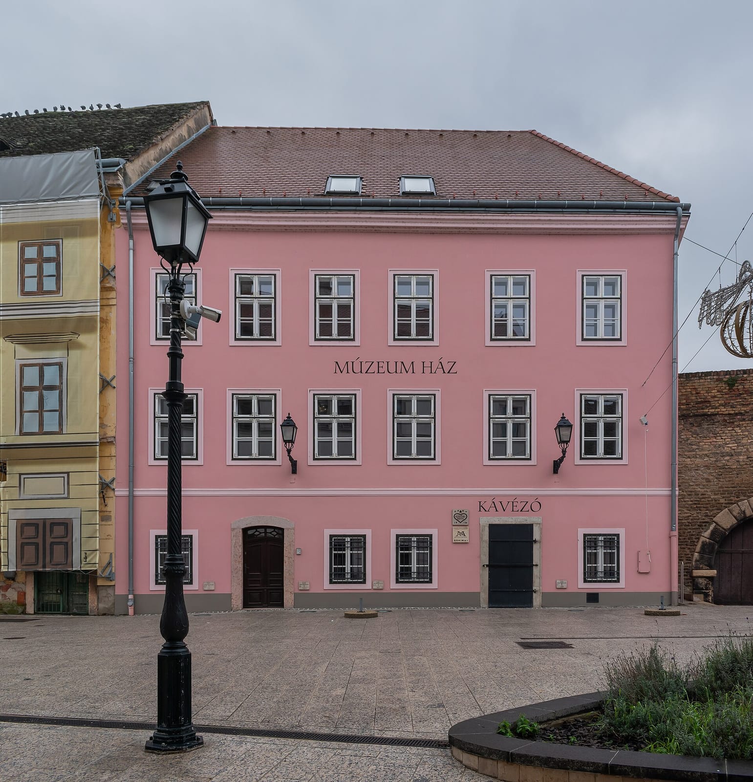 Kávébajusz photo 3