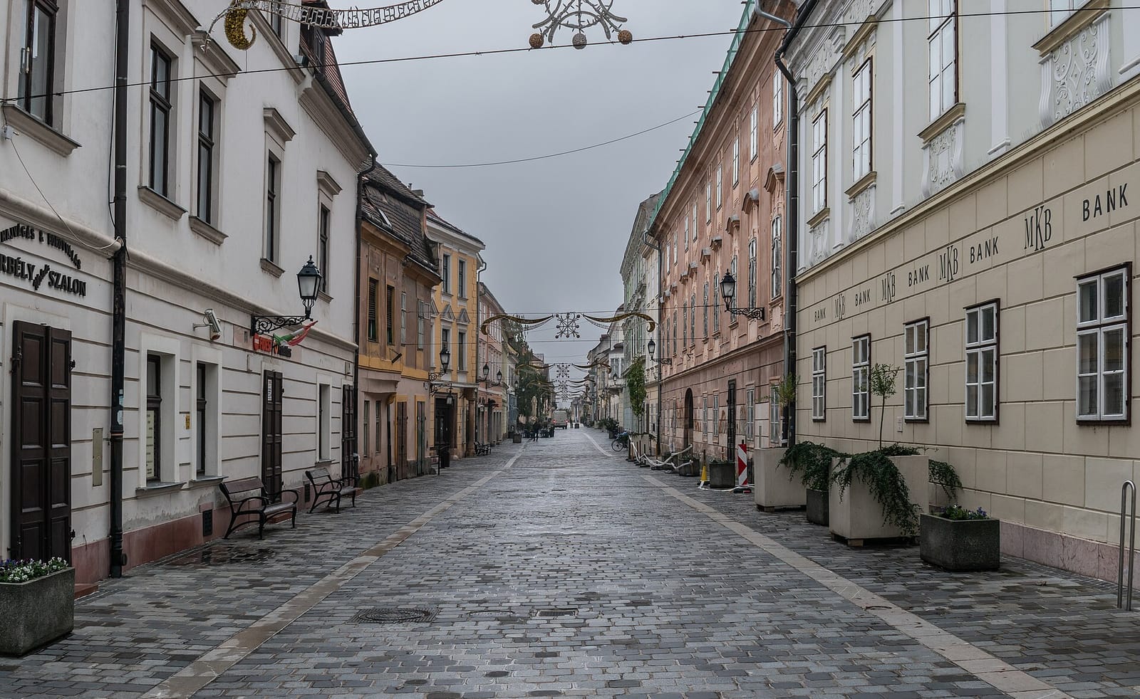 Kávébajusz photo 2