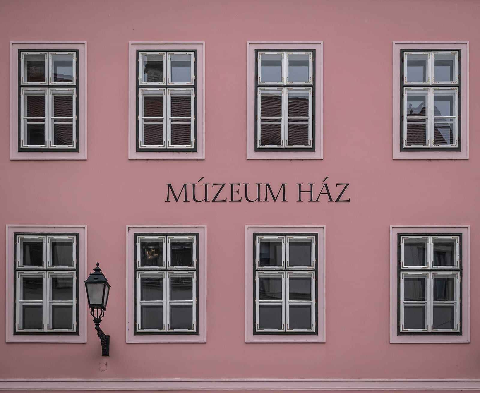 Kávébajusz photo 4