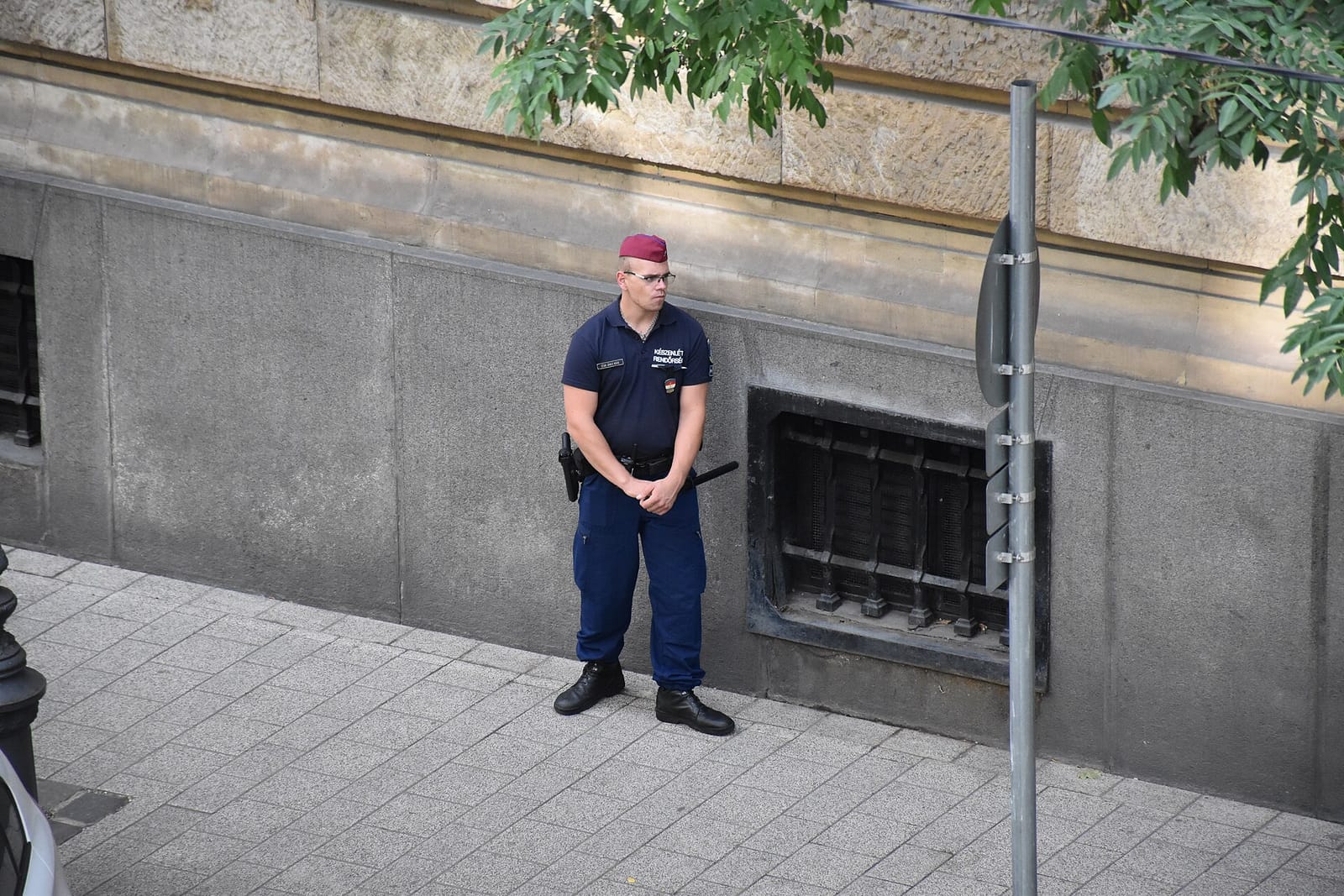 Fågel