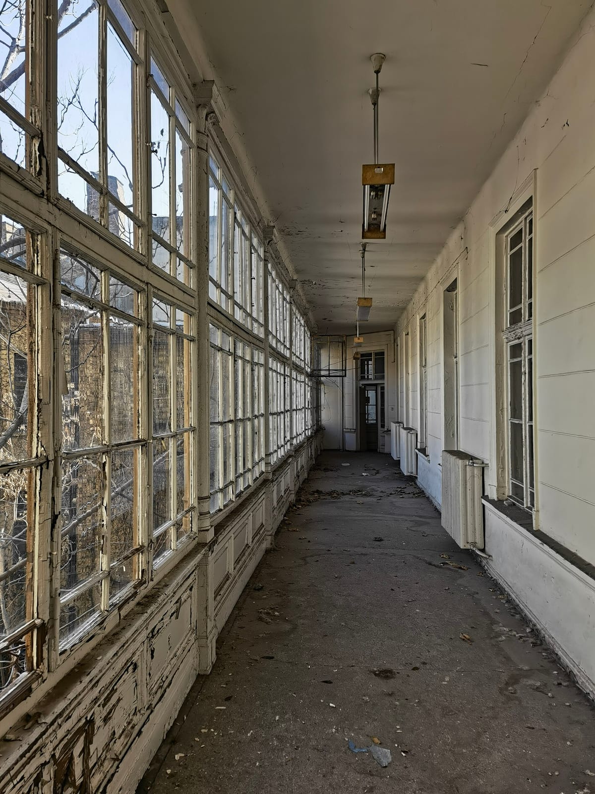 Deszka photo 4