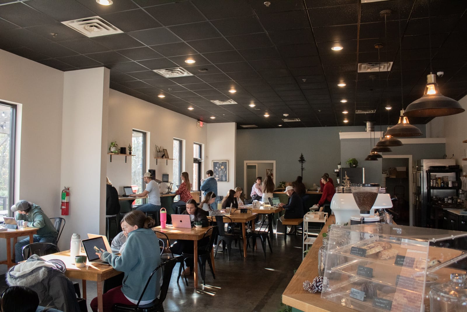 Old Pine Coffee Roasters photo 3
