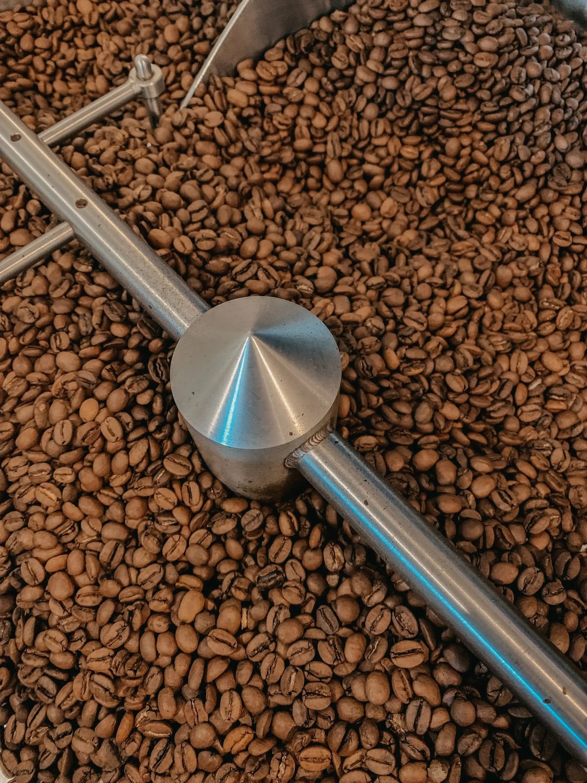 Old Pine Coffee Roasters photo 2