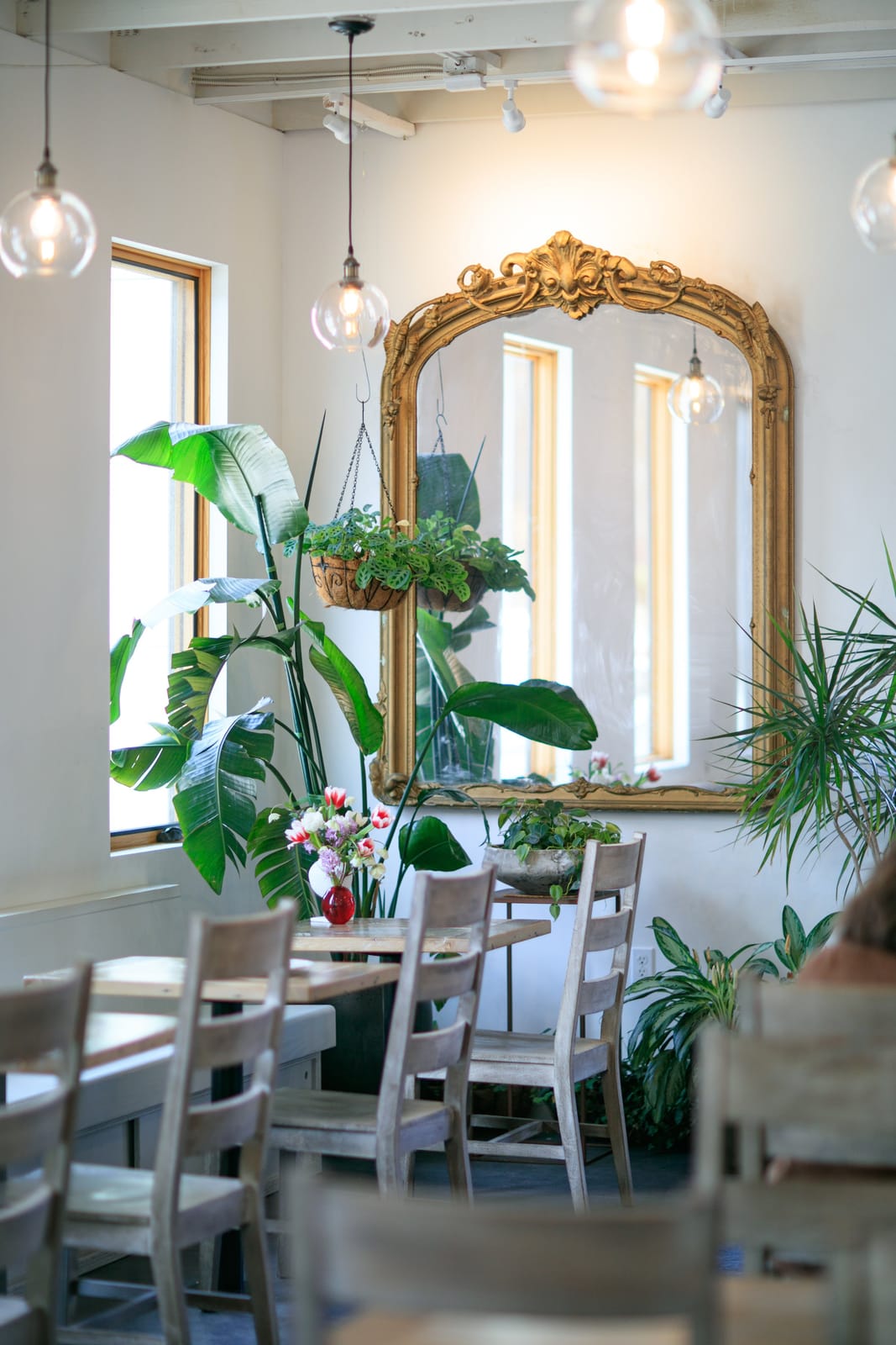 Fiddlehead Fern Cafe photo 4