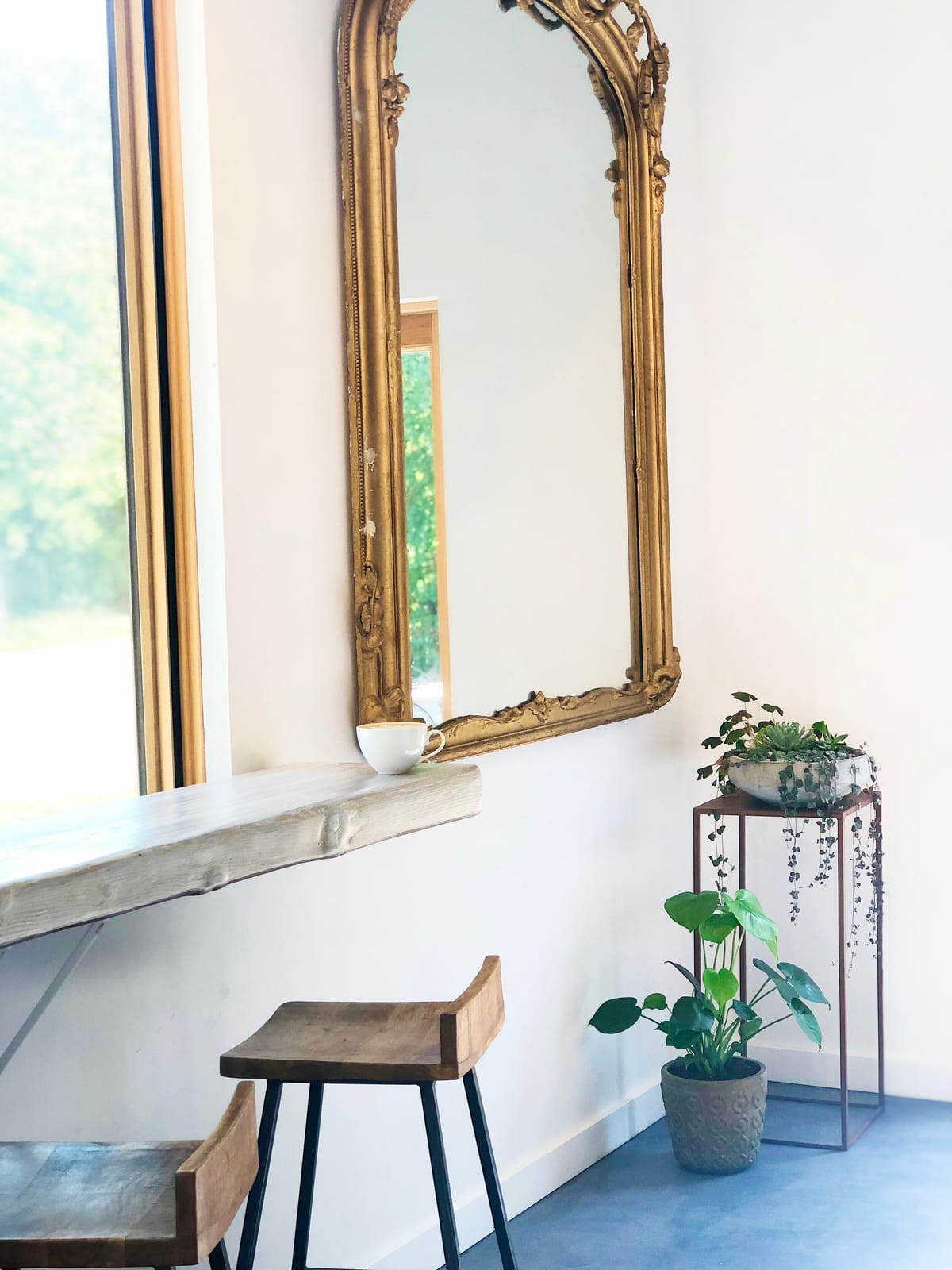 Fiddlehead Fern Cafe