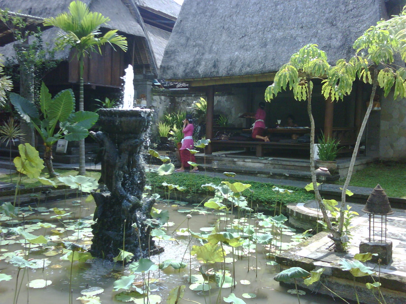 Sawobali photo 2