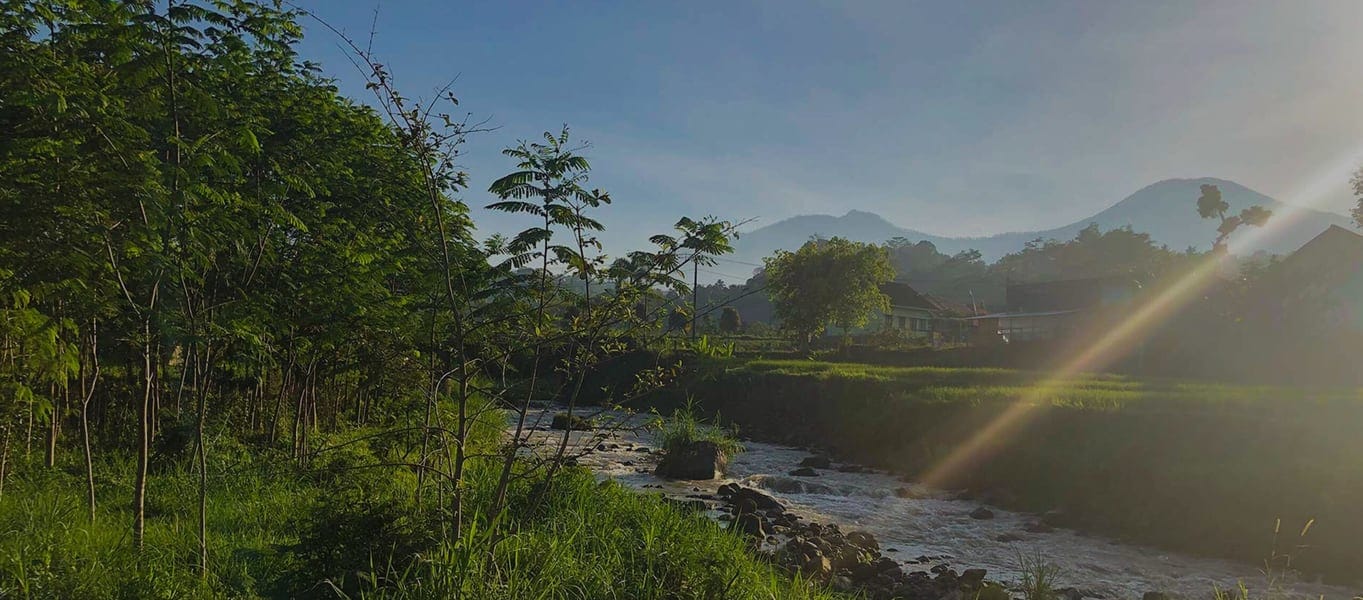 Kawisari Coffee Farm shop photo 2
