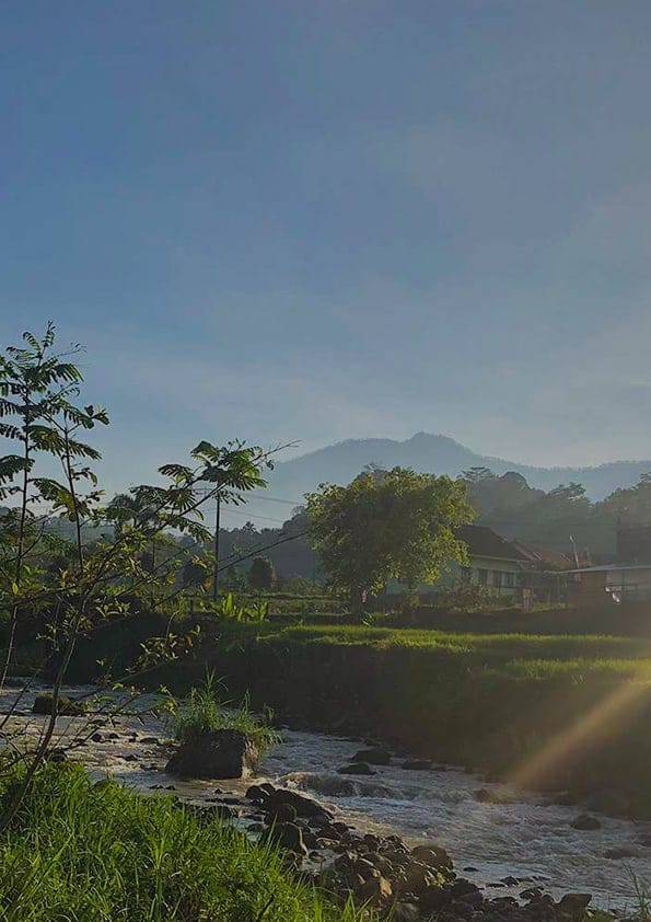 Kawisari Coffee Farm shop photo 5