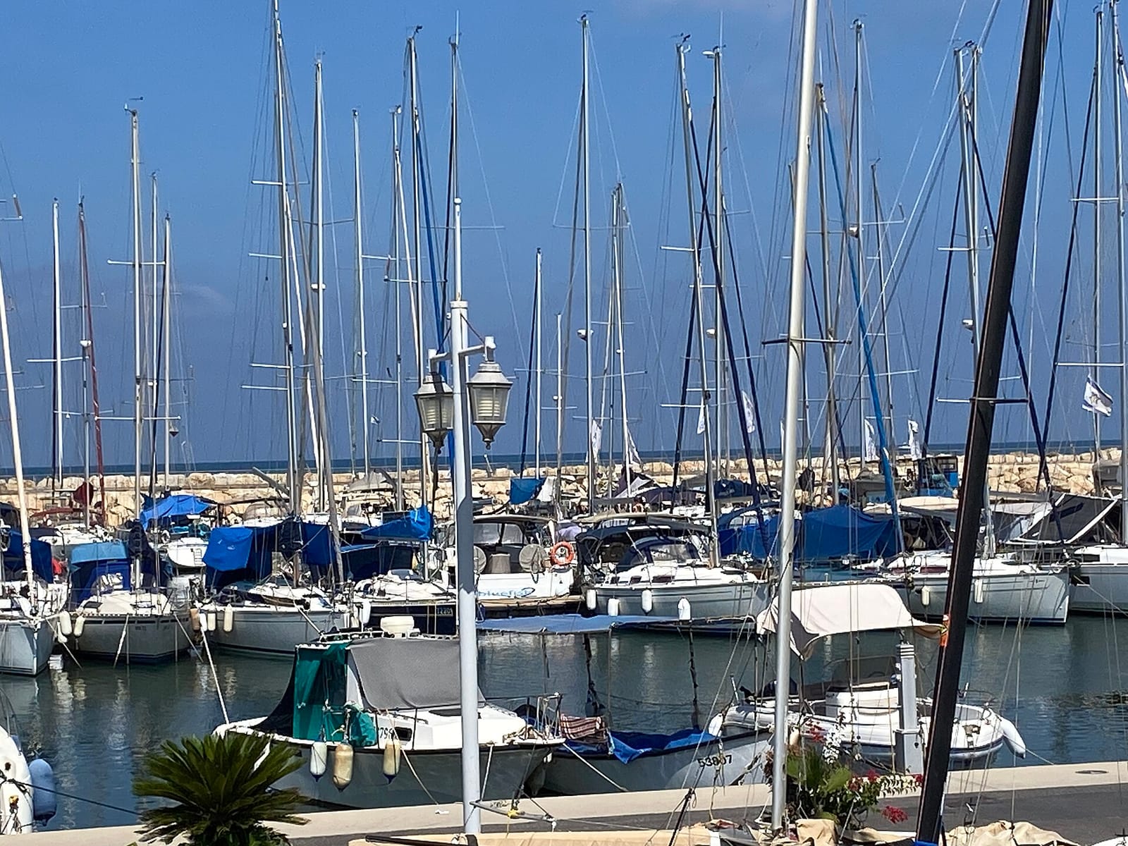Fortuna Del-Mar photo 4