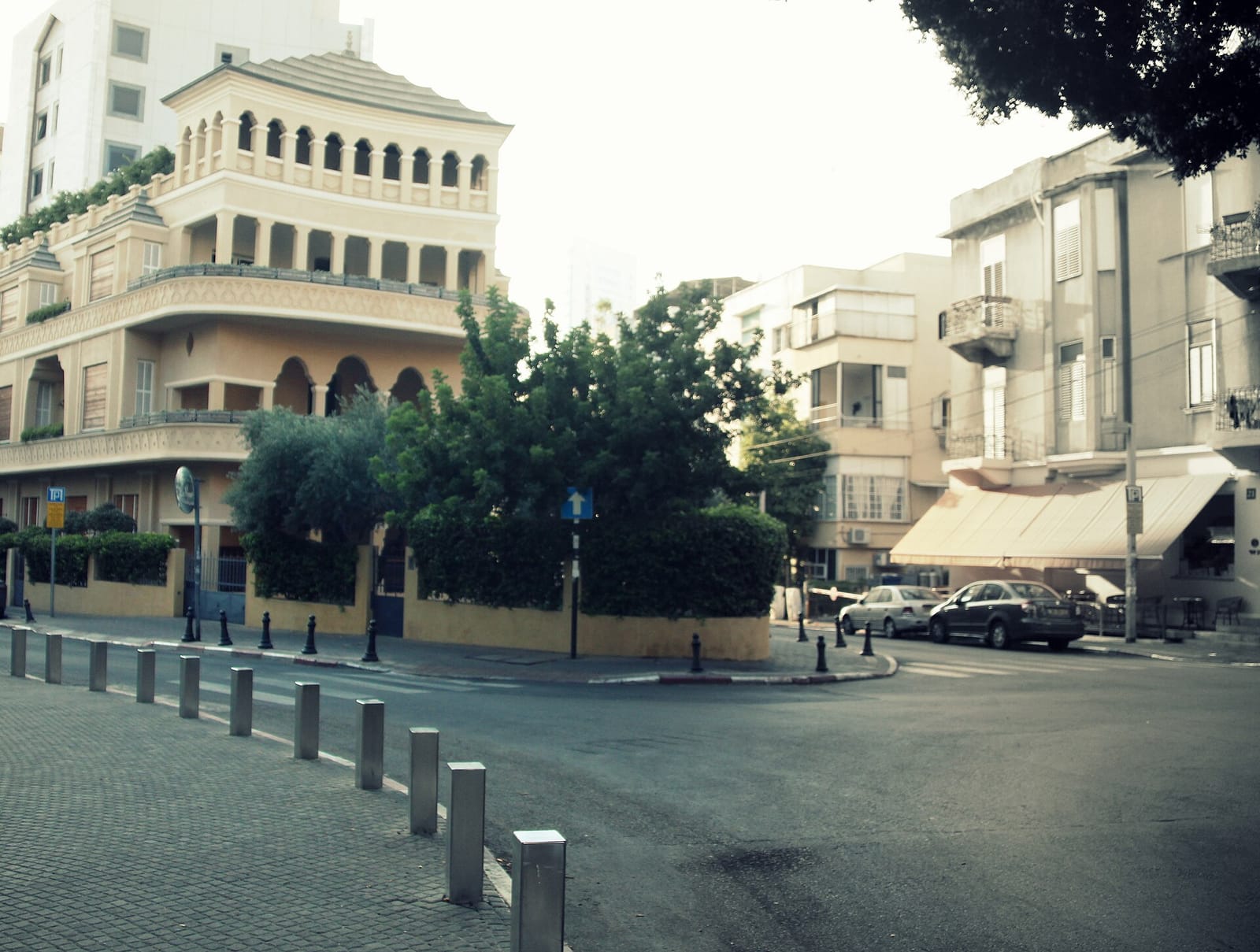Monti photo 2