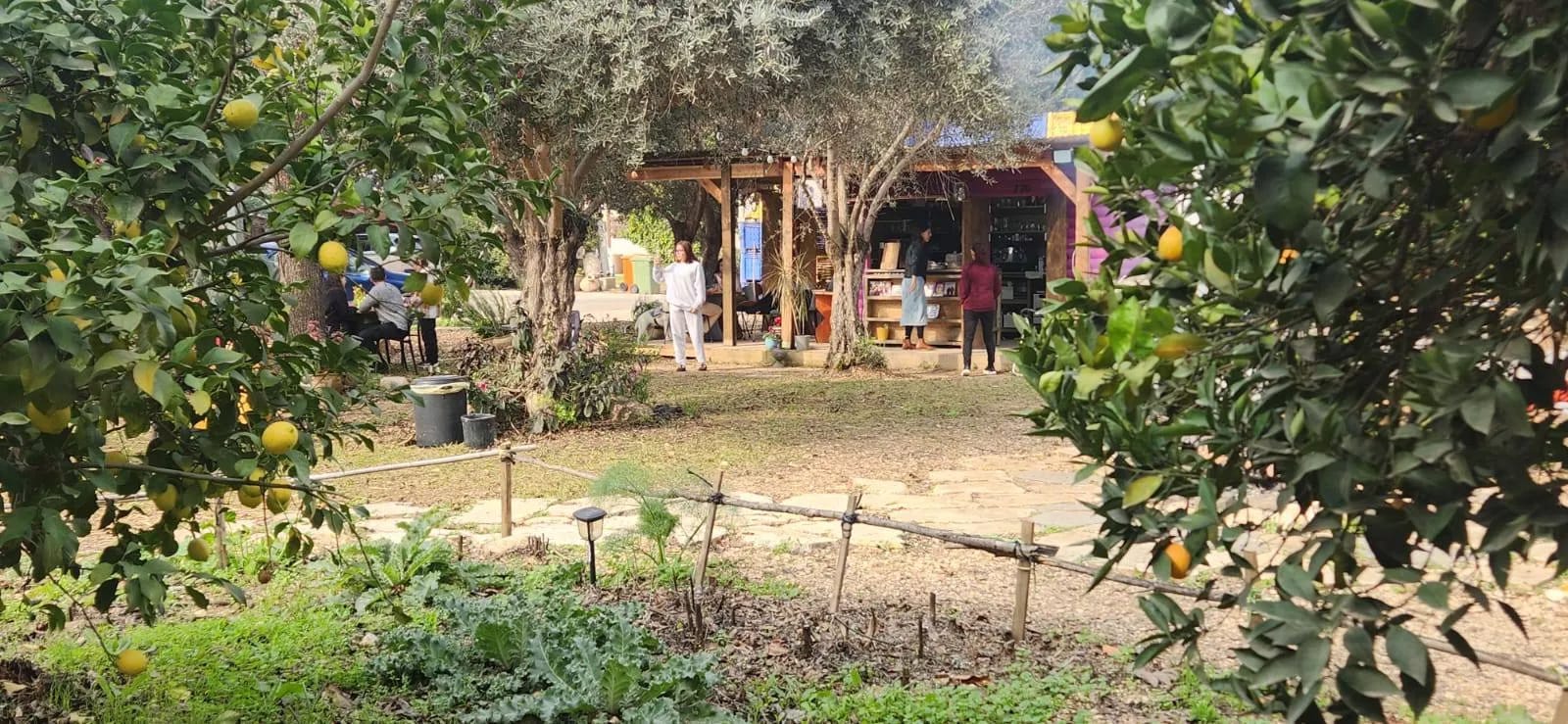 המקום של ארנון - Arnon's Place photo 5