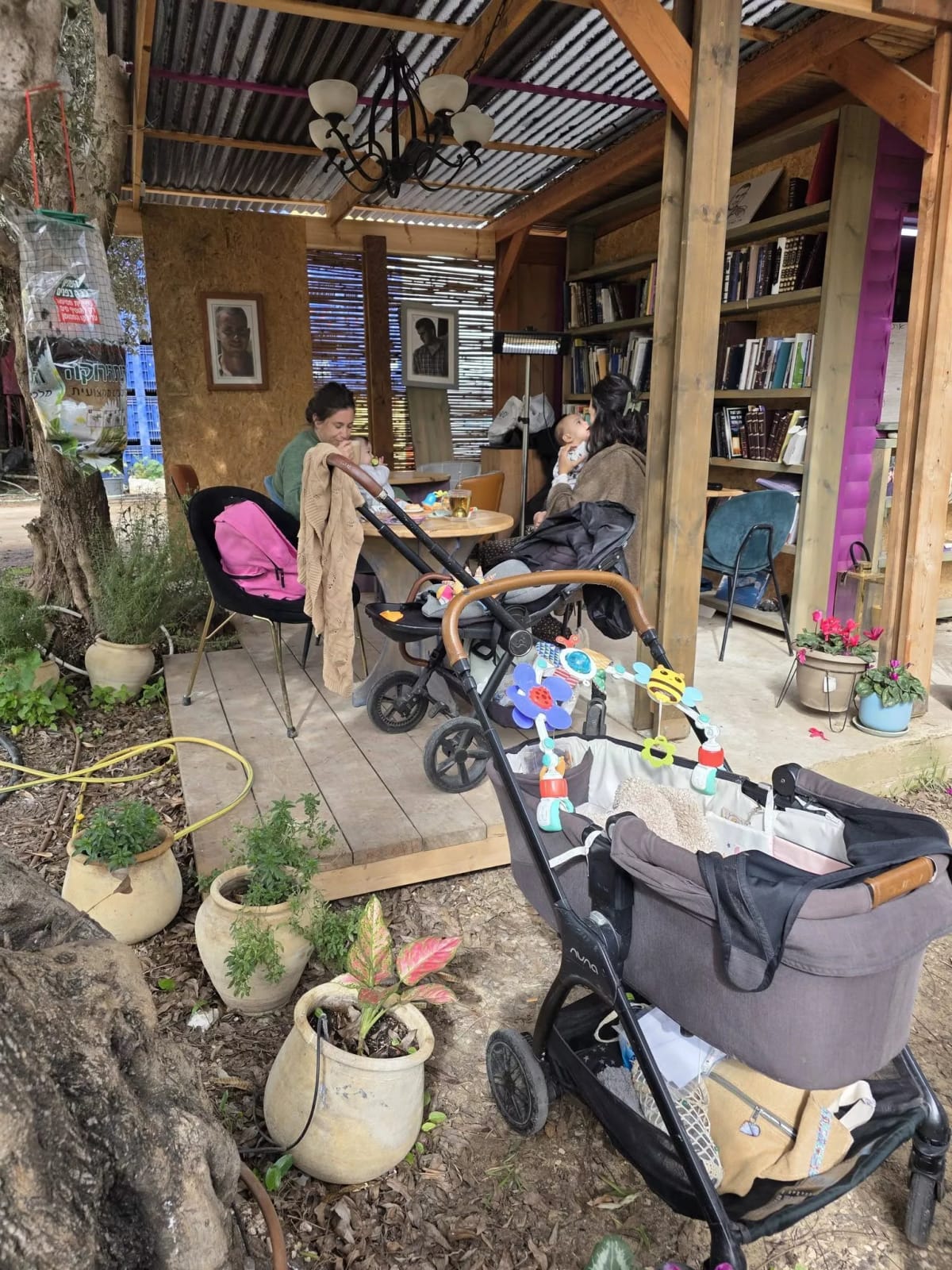 המקום של ארנון - Arnon's Place photo 3