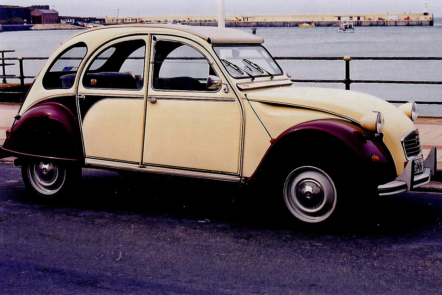Roots by the Sea photo 5