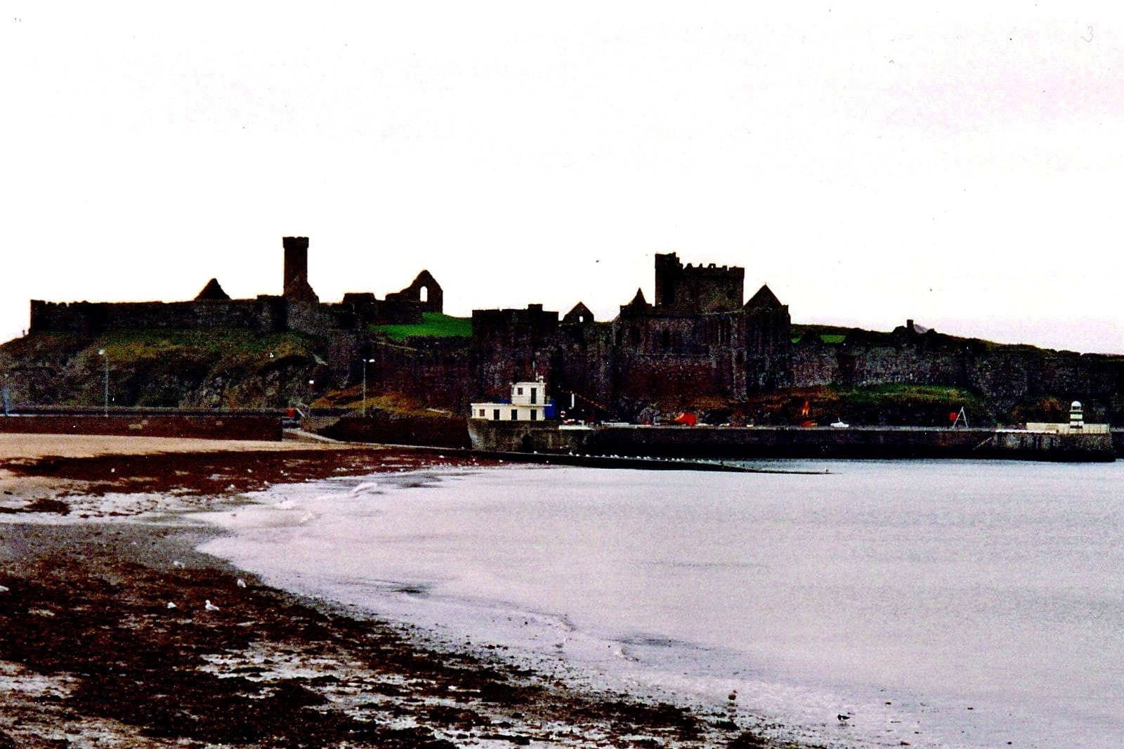 Roots by the Sea photo 4