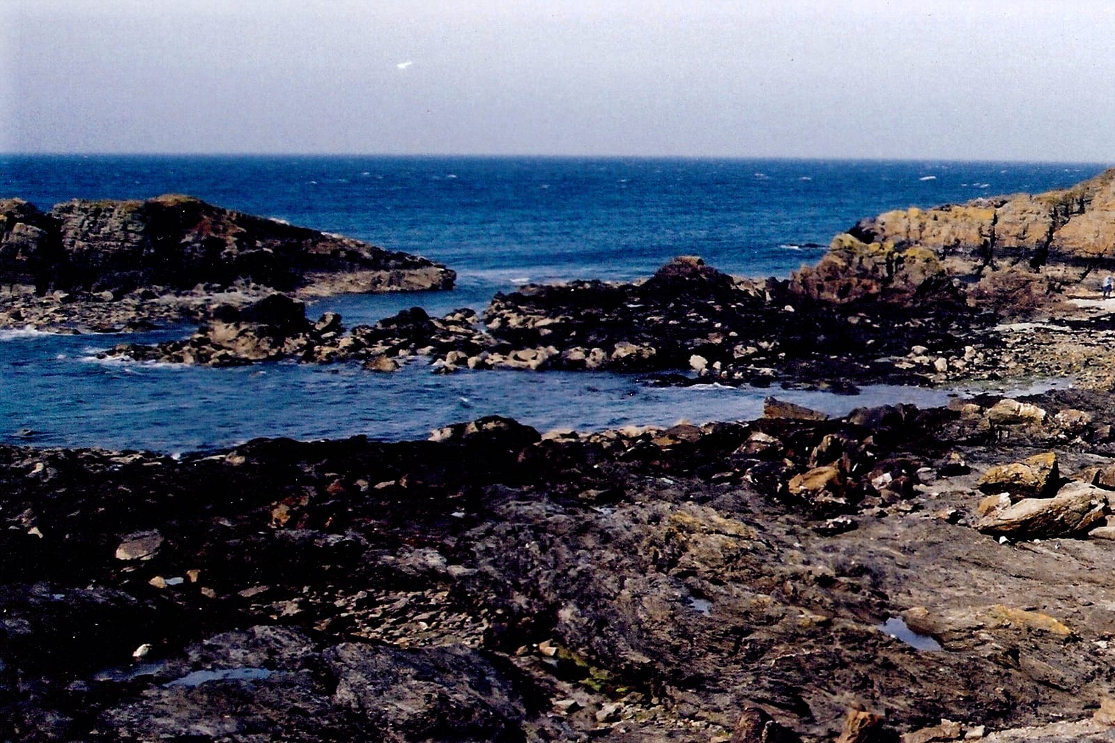 Niarbyl Cafe photo 3