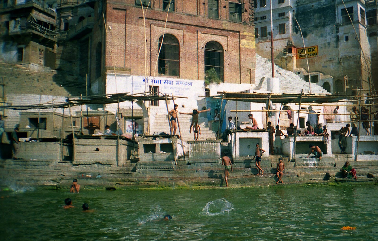 Dosa Cafe photo 3