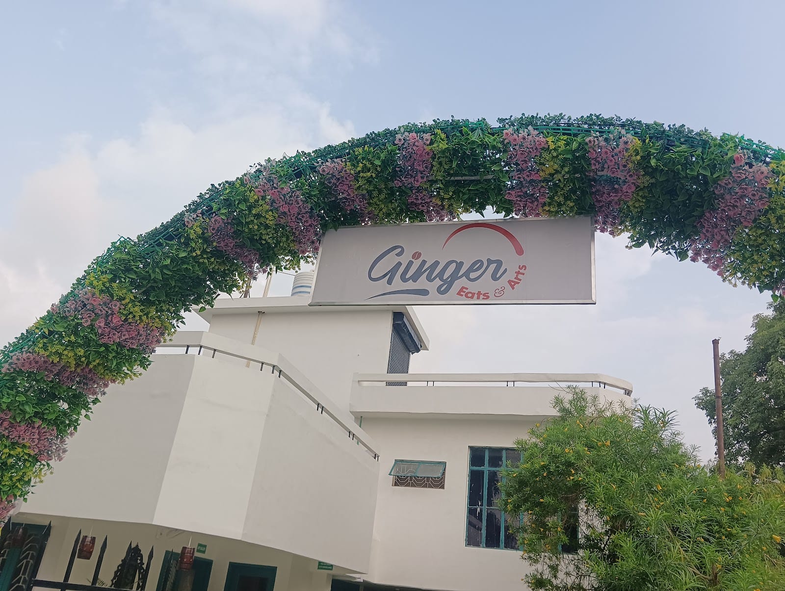 Ginger Eats and Arts