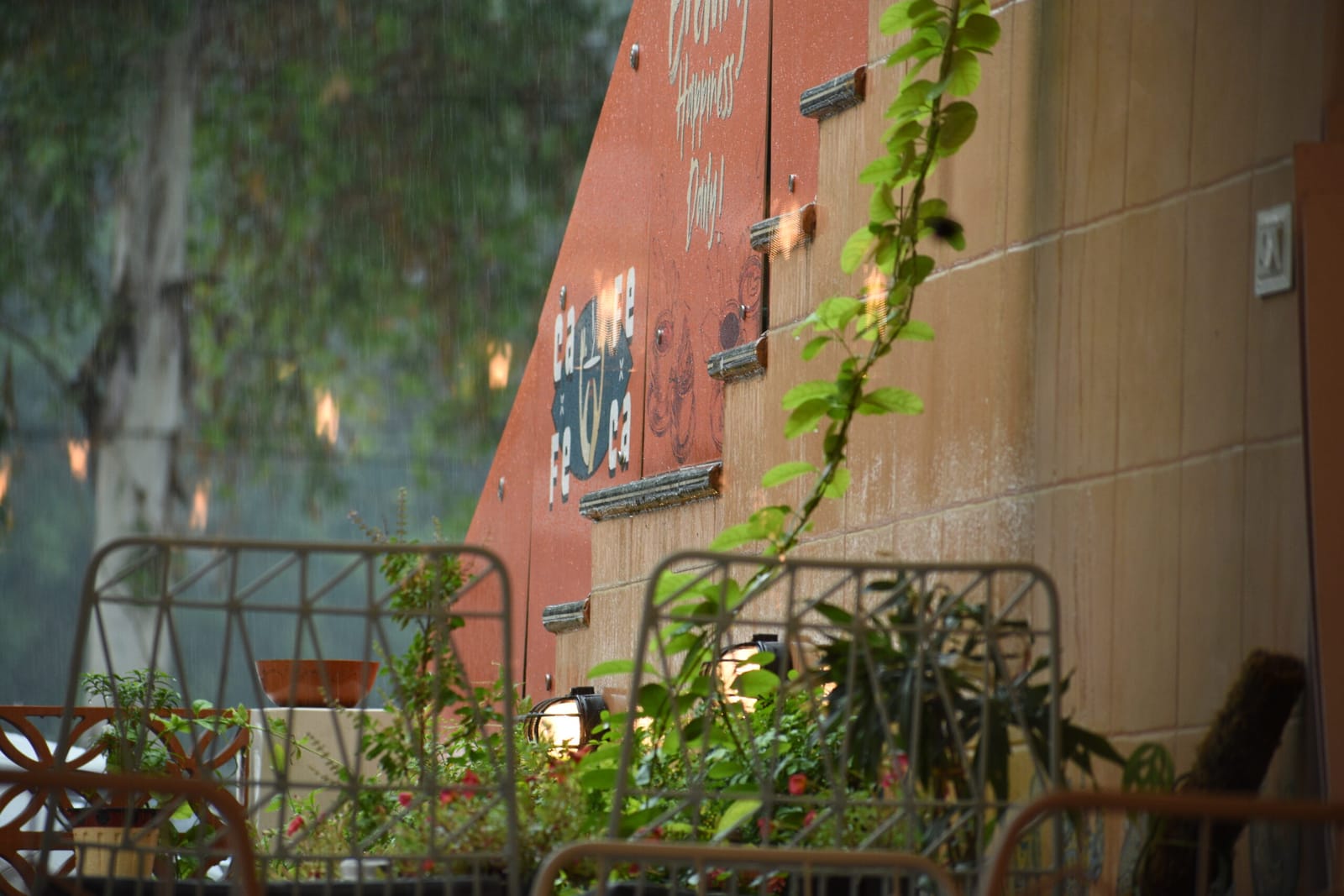 Cafe Feca photo 2