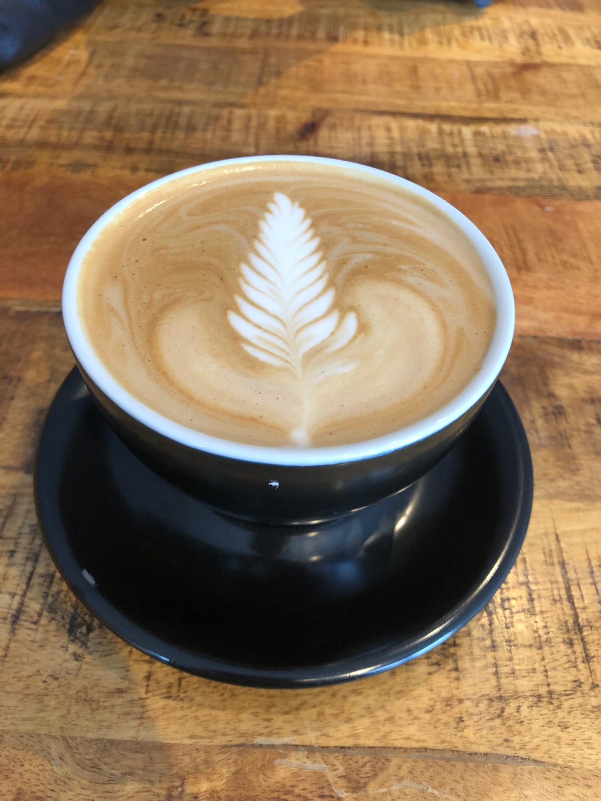 Bibo Coffee Company