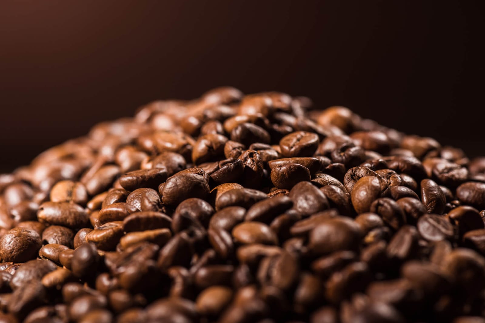 Crazy Bean Coffee photo 6