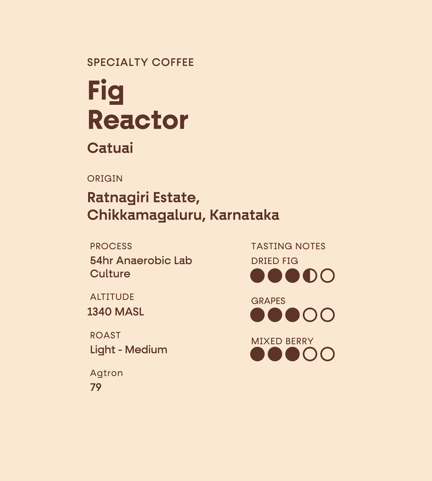 Roast CCx photo 8