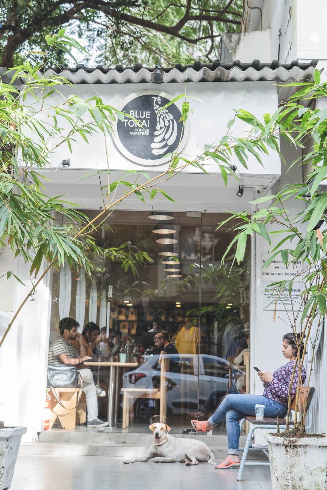 Blue Tokai Coffee Roasters