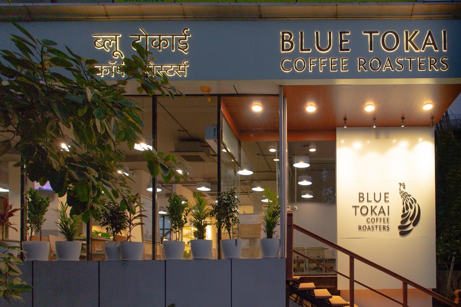 Blue Tokai Coffee Roasters