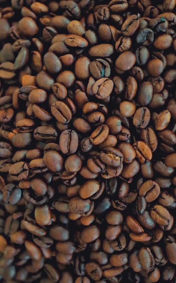 Nandan Coffee photo 6