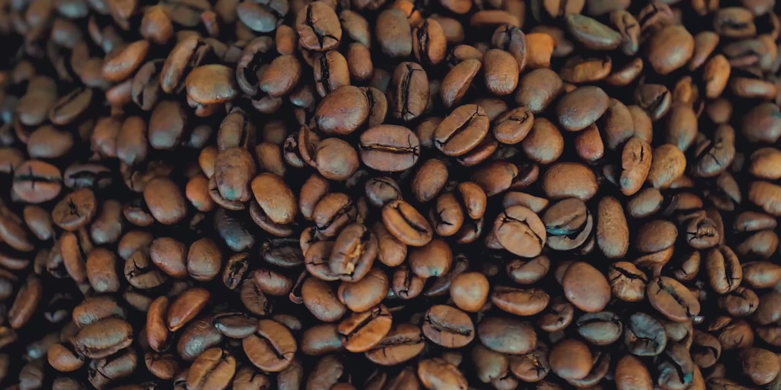 Nandan Coffee photo 7